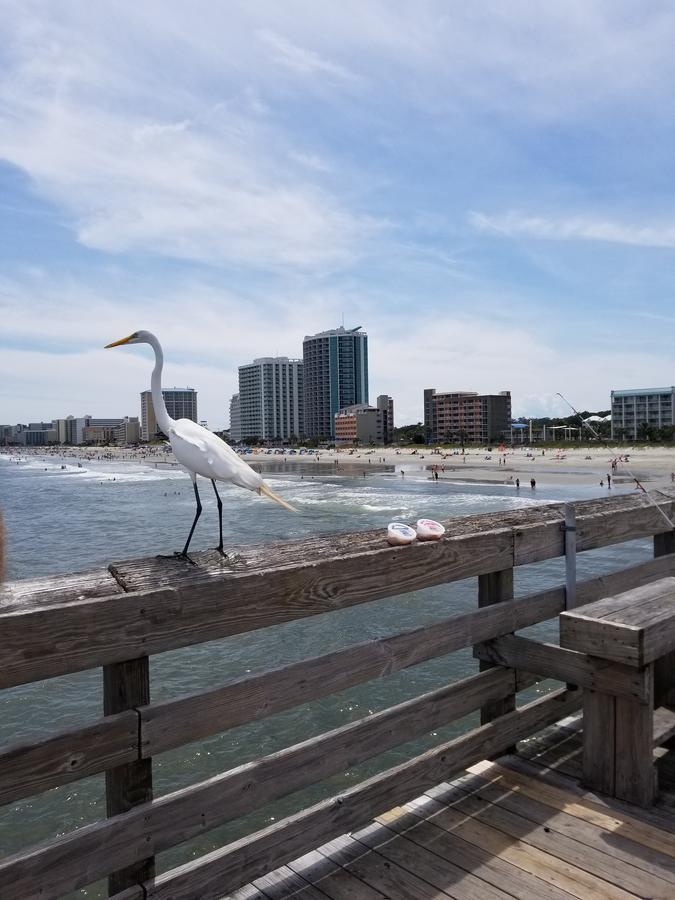 Ferienwohnung Ocean Front 6Th Floor 1Br Myrtle Beach Exterior foto